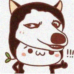 观众阿柚的头像